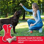 Treating Your Furry Friend Right: The Ultimate Guide to Dog Treats