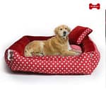 Top 5 Best Dog Beds Amazon Under 699