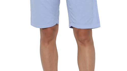 Allen Solly Men's Chino Shorts (ALSRVTLFI92528_Light Sky Blue_36)