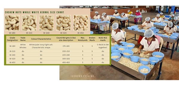 FarmOwn Whole Cashew Nut W320 Regular Size Cashews Kaju 1Kg - Image 2