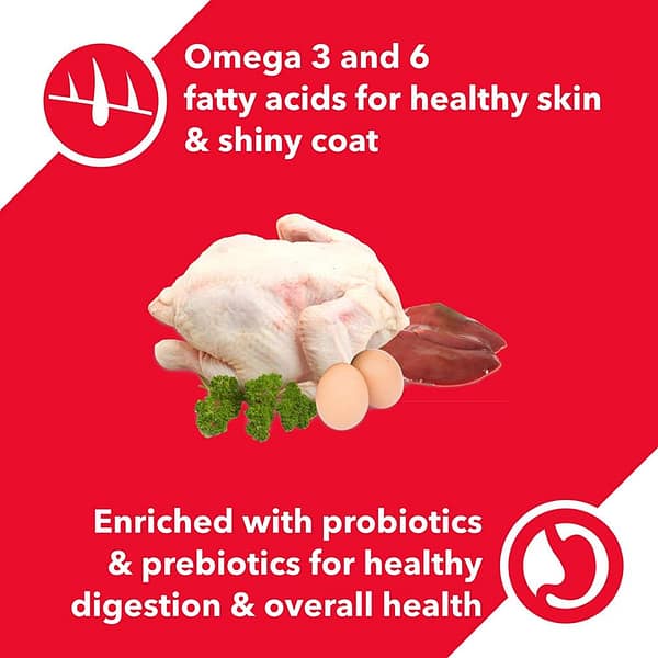 Drools Chicken and Egg Adult Dog Food, 3 kg with Free 1.2 kg - Image 2