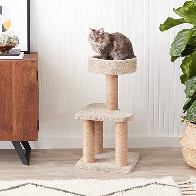 Cat Tree House With Scratching Posts