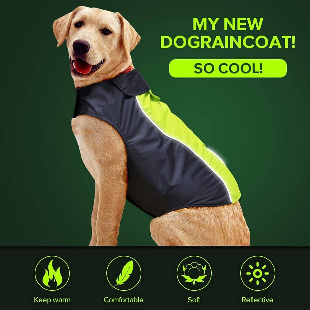 The 5 Best Dog Raincoats